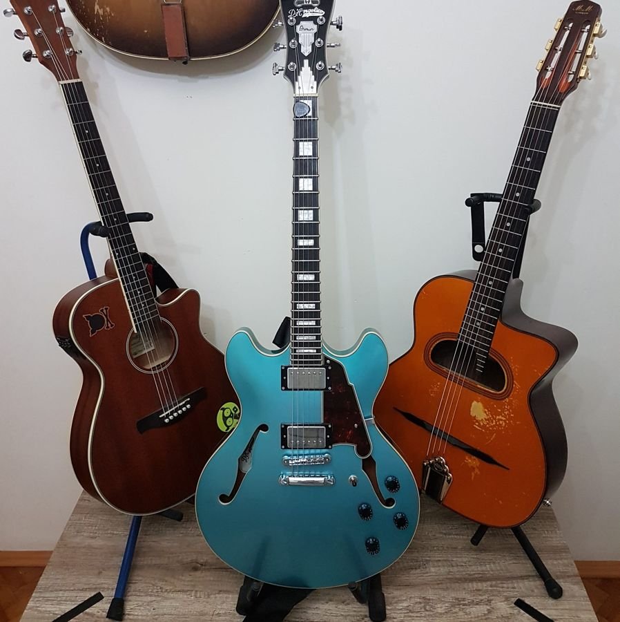 Guitar collection including D'Angelico semi-hollow, acoustic and jazz guitars